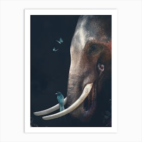 Portrait Of An Elephant Art Print