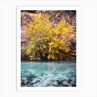 Turquoise Water Yellow Tree Art Print