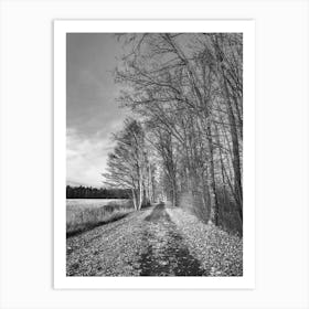 Road In The Woods Art Print