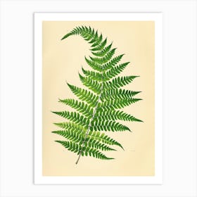 Vintage Illustration Ribbon Fern 1 Art Print