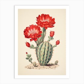 Vintage Cactus Illustration Devils Tongue Cactus Art Print