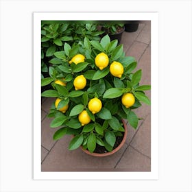 Lemon Tree 1 Art Print