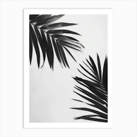 Black And White Palm Leaves 1 Art Print