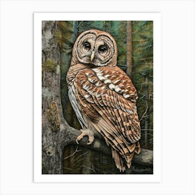 Barred Owl Relief Illustration 2 Art Print