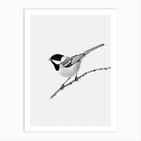 Carolina Chickadee B&W Pencil Drawing 2 Bird Art Print