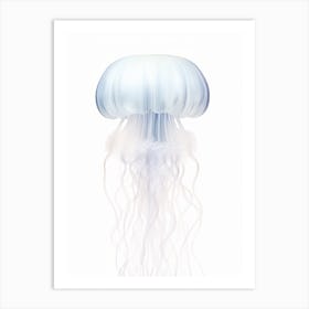 Lions Mane Jellyfish Watercolour 7 Art Print