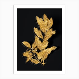 Vintage Strawberry Tree Branch Botanical in Gold on Black n.0428 Art Print