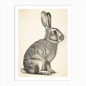 American Sable Black Blockprint Rabbit Illustration 3 Art Print