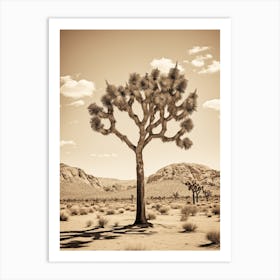  Photograph Of A Joshua Tree In Rocky Mountains 4 Art Print