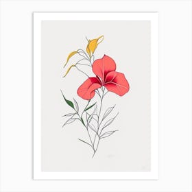 Mandevilla Floral Minimal Line Drawing 1 Flower Art Print