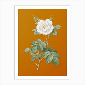 Vintage White Rose Botanical on Sunset Orange n.0177 Art Print