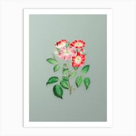 Vintage Rose Clare Flower Botanical Art on Mint Green Art Print