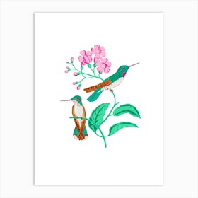 Two Hummingbirds Art Print