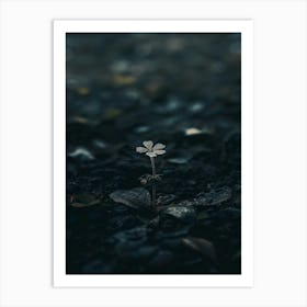 Flower In The Dark 102 Art Print