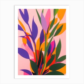Fittonia Colourful Illustration Art Print