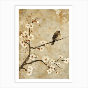 Asian Cherry Blossoms 1 Art Print