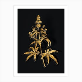 Vintage Chaste Tree Botanical in Gold on Black n.0350 Art Print