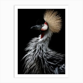 Crowned Cranes Portrait Art Print