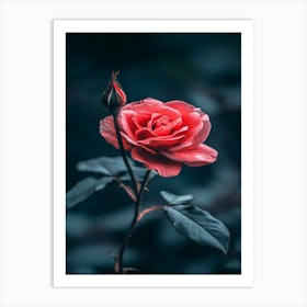 Rose In The Dark 30 Art Print