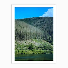 Forest and blue sky Art Print