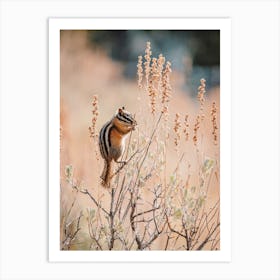 Chipmunk On Tall Grass Art Print