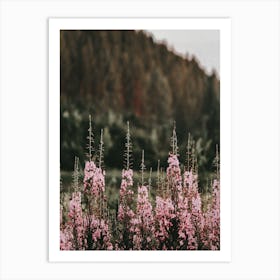 Pink Lupine Flowers Art Print