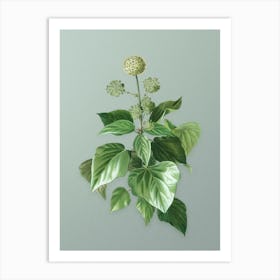 Vintage Common Ivy Botanical Art on Mint Green Art Print