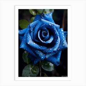 Blue Rose 9 Art Print