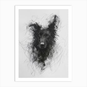 Icelandic Sheepdog Dog Charcoal Line 4 Art Print