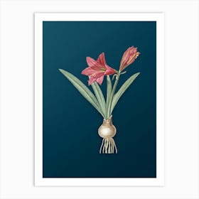 Vintage Hippeastrum Botanical Art on Teal Blue n.0570 Art Print