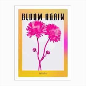 Hot Pink Calendula 2 Poster Art Print