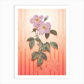 Tea Scented Roses Bloom Vintage Botanical in Peach Fuzz Awning Stripes Pattern n.0324 Art Print