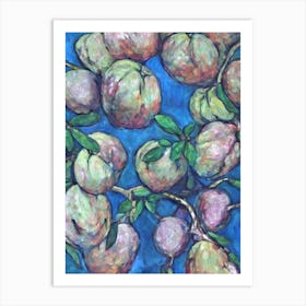 Cherimoya Classic 1 Fruit Art Print