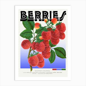 Berries Raspberries Shaffers Colossal Graphic Wall Art Vintage Unique Eclectic Art Print