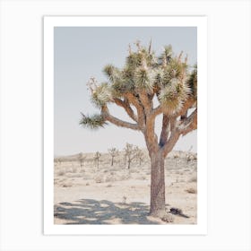 Joshua Tree Art Print