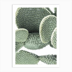 Cactus 2 Art Print