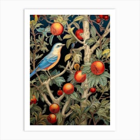 Bluebird With Pomegranate Art Print