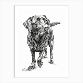 Labrador Dog Line Sketch Art Print