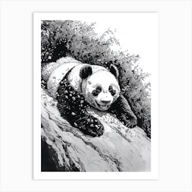 Giant Panda Cub Sliding Down A Hill Ink Illustration 1 Art Print