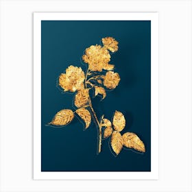 Vintage Red Cabbage Rose in Bloom Botanical in Gold on Teal Blue n.0044 Art Print