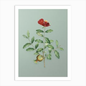 Vintage Pomegranate Branch Botanical Art on Mint Green n.0312 Art Print