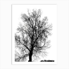 Silhouette Of Bare Tree Black And White 3 Art Print