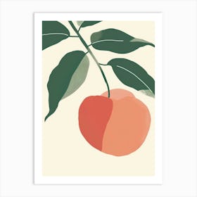 Nectarines Close Up Illustration 1 Art Print