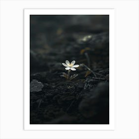 Flower In The Dark 41 Art Print