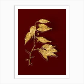 Vintage European Nettle Tree Botanical in Gold on Red n.0441 Art Print