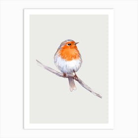 Robin Art Print