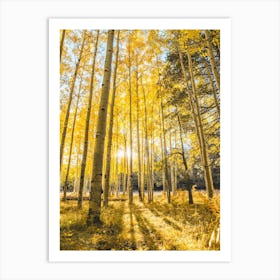 Autumn Leaves Aspen Forest Art Print