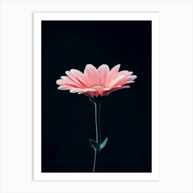 Pink Gerbera Flower 5 Art Print