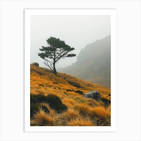 Lone Tree In The Fog Art Print