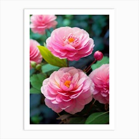 Pink Dahlias 2 Art Print